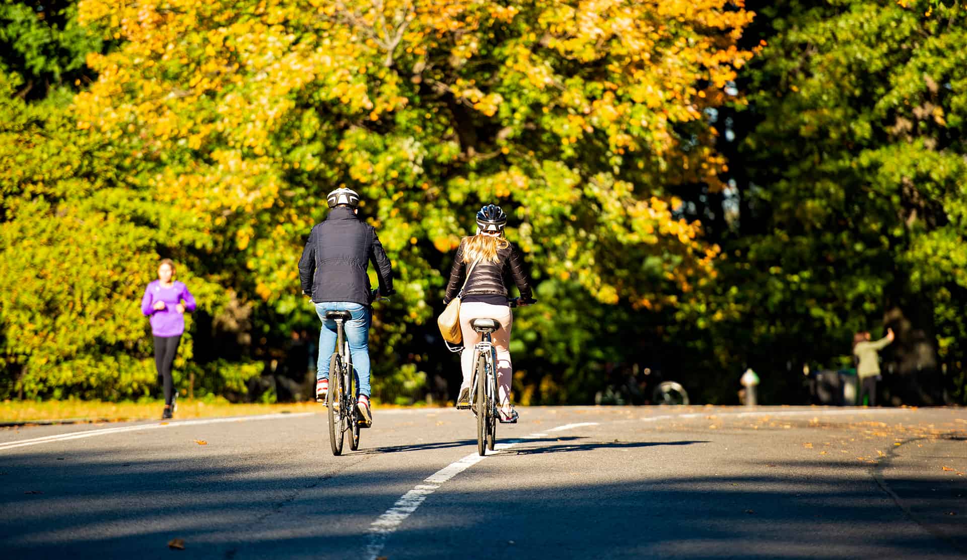 Location de vélo à Central Park