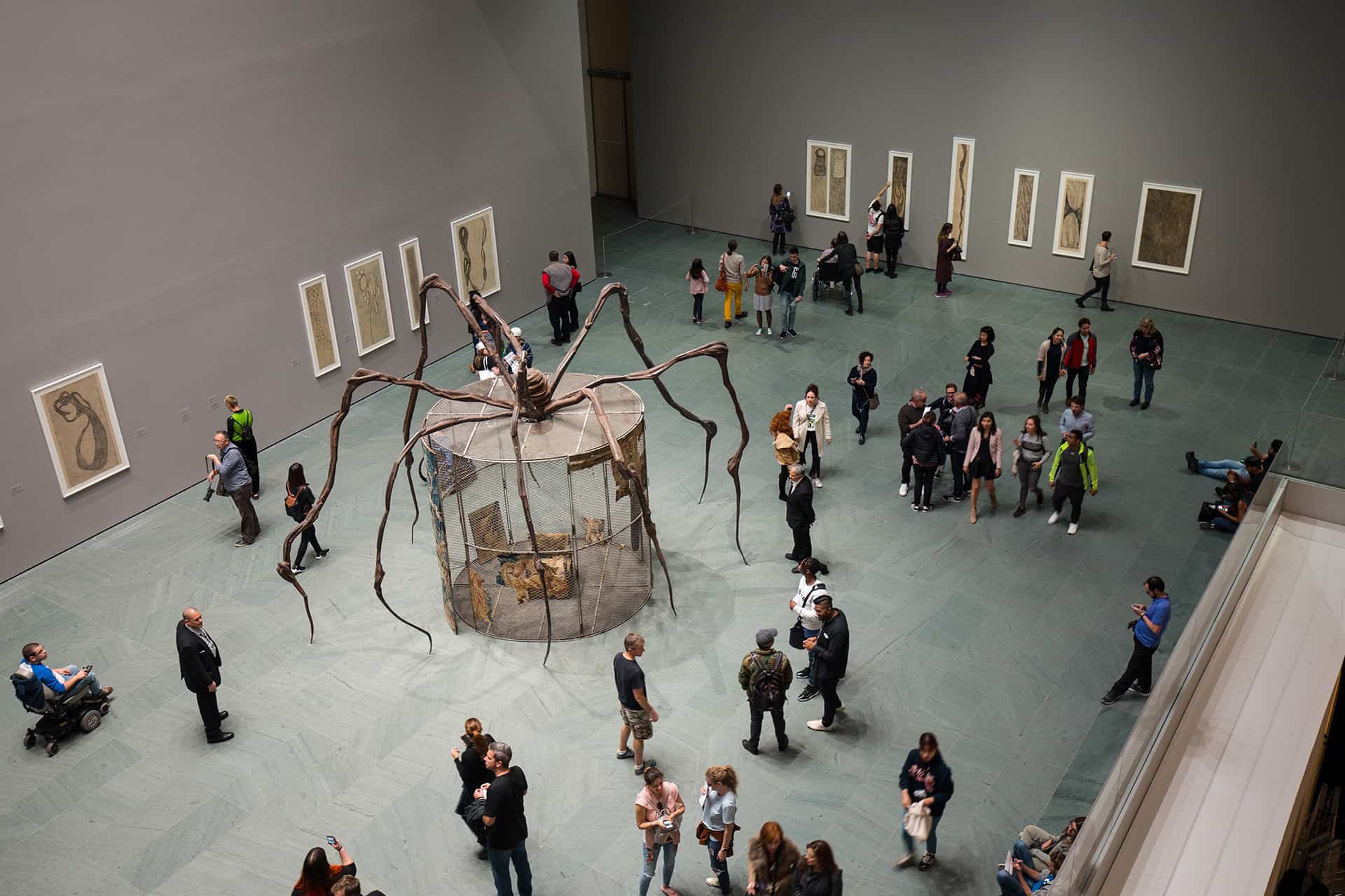 visiter moma new york