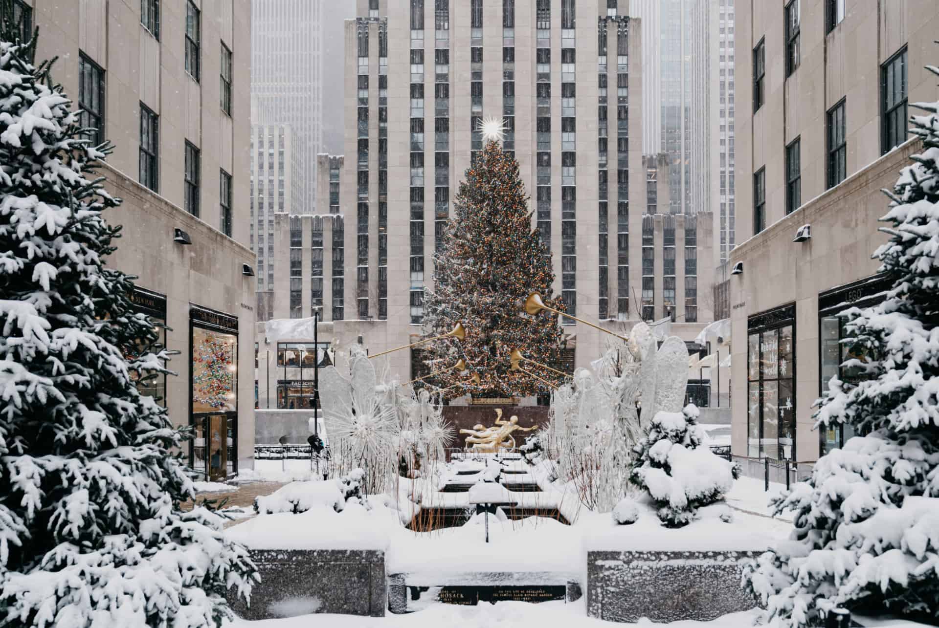 rockefeller sapin rockefeller sapin