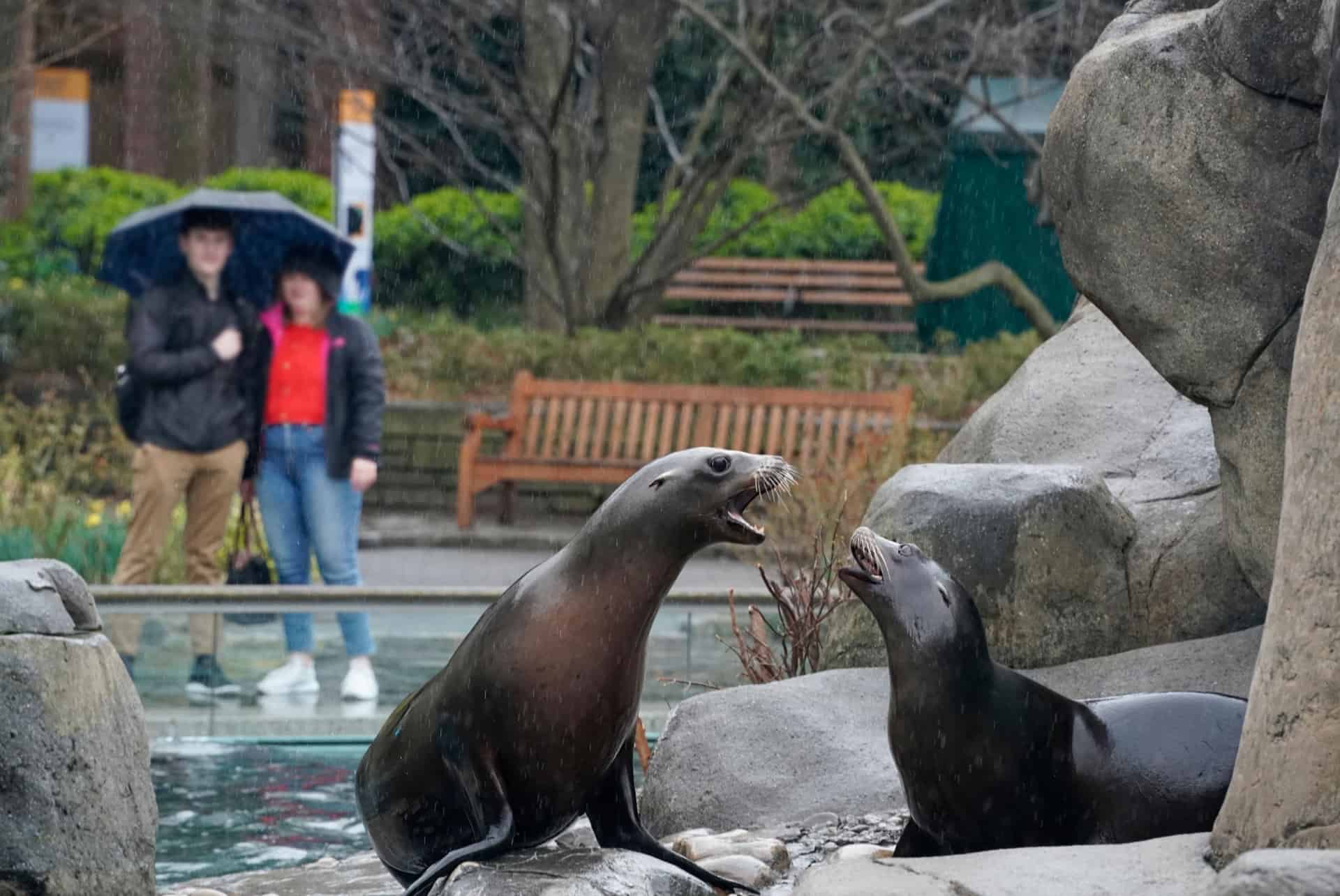 central park zoo central park zoo
