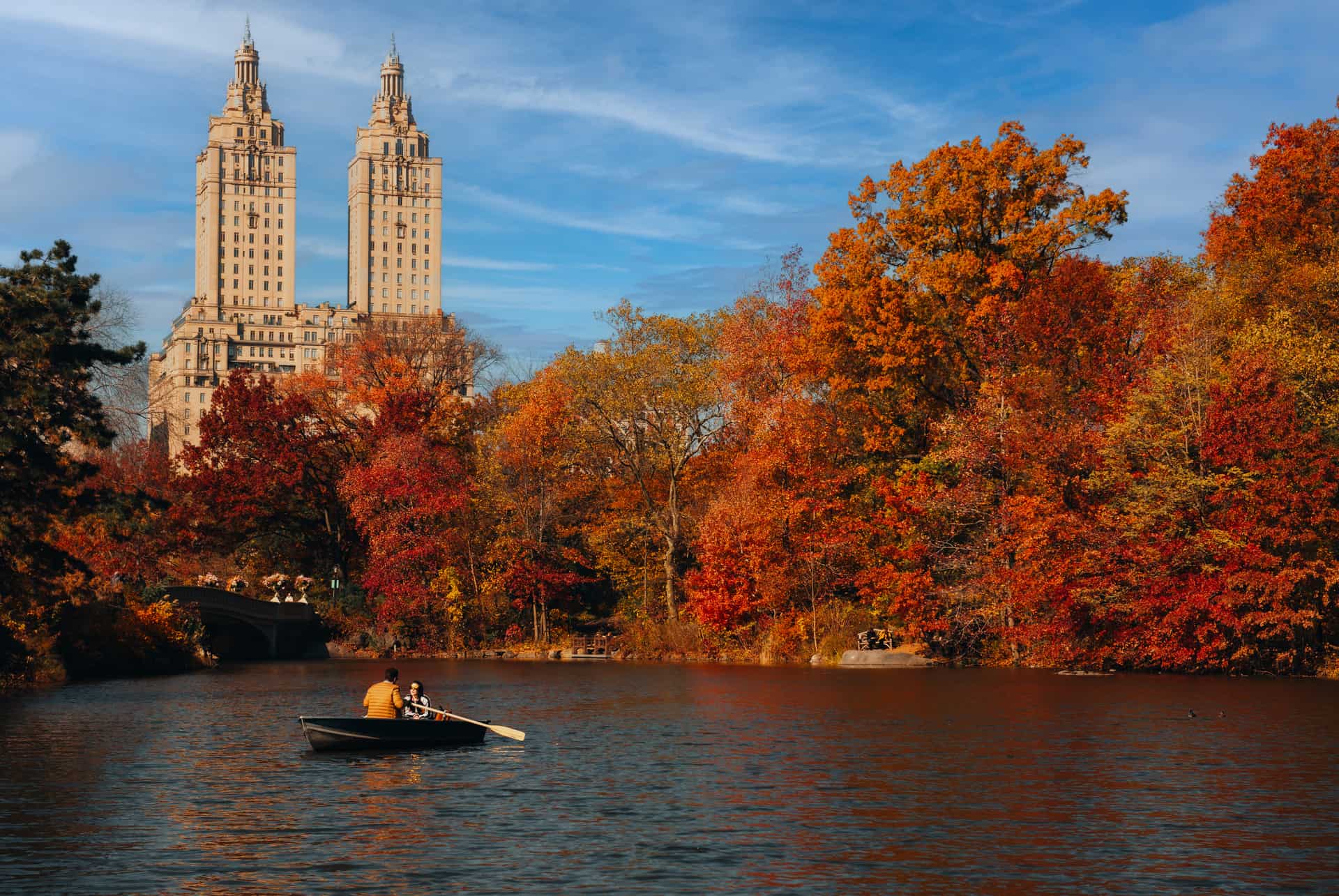 ny automne