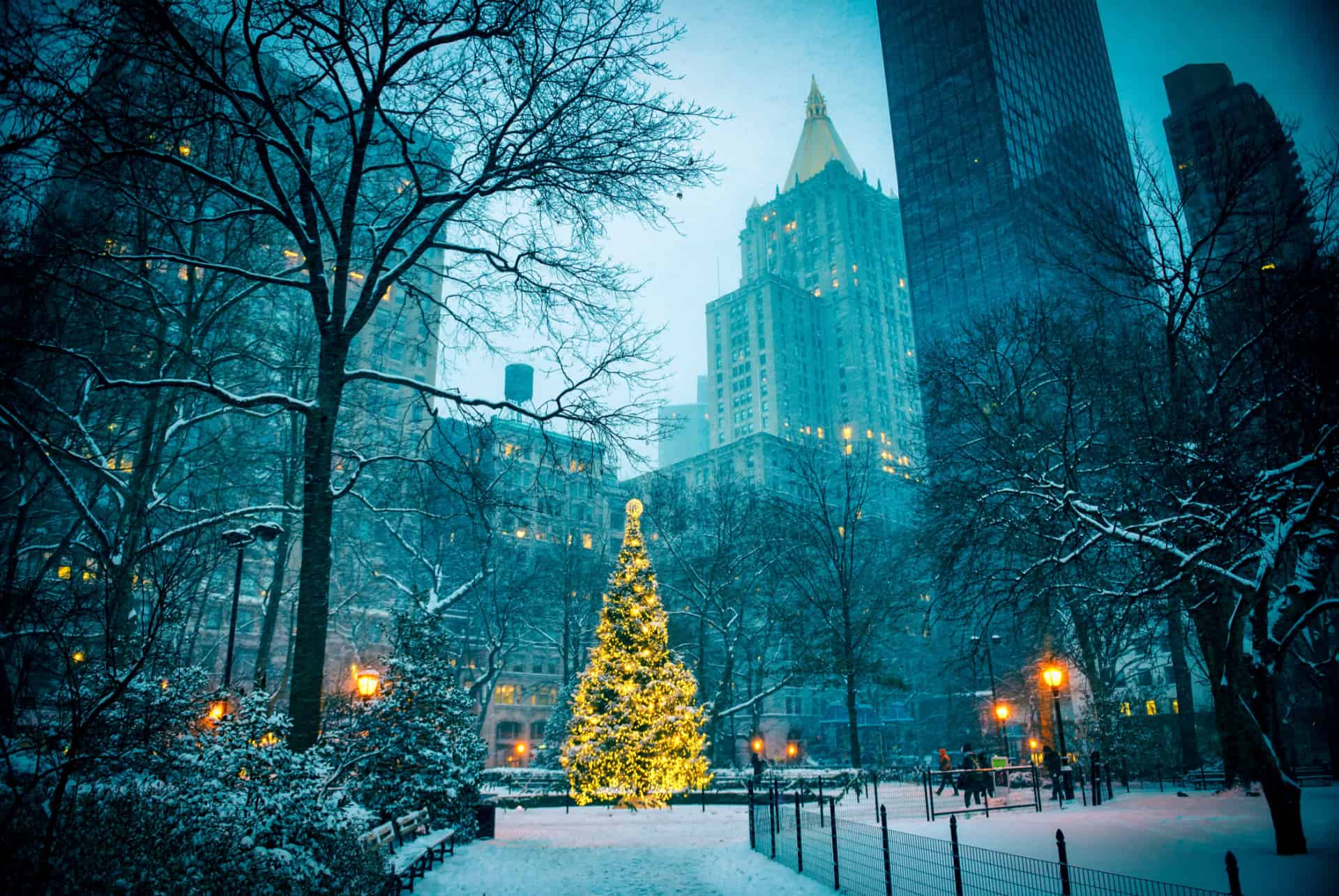 sapin madison square noel new york sapin madison square noel new york