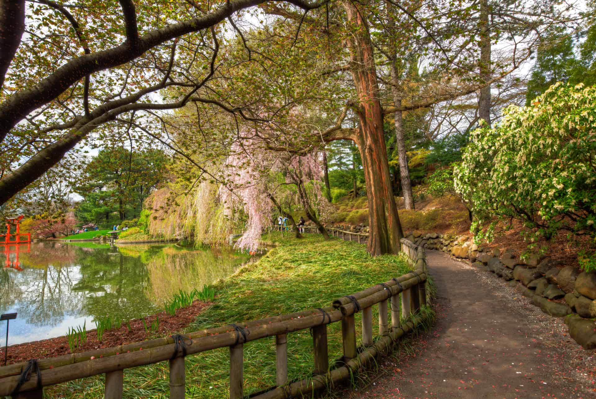comment visiter botanical garden
