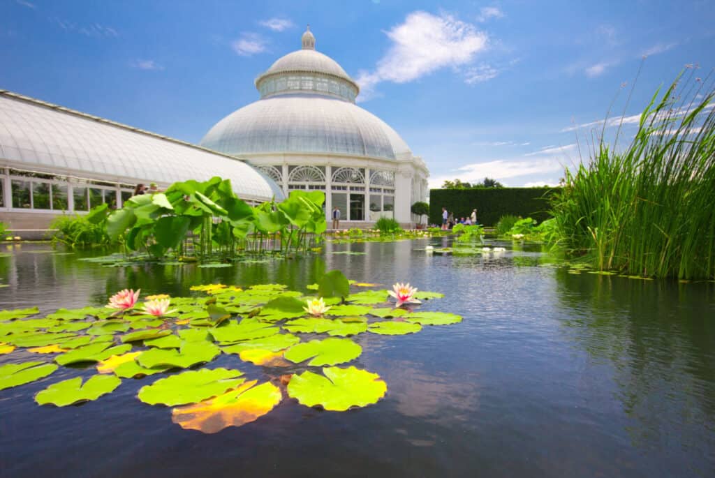 Billet pour le jardin botanique de New York