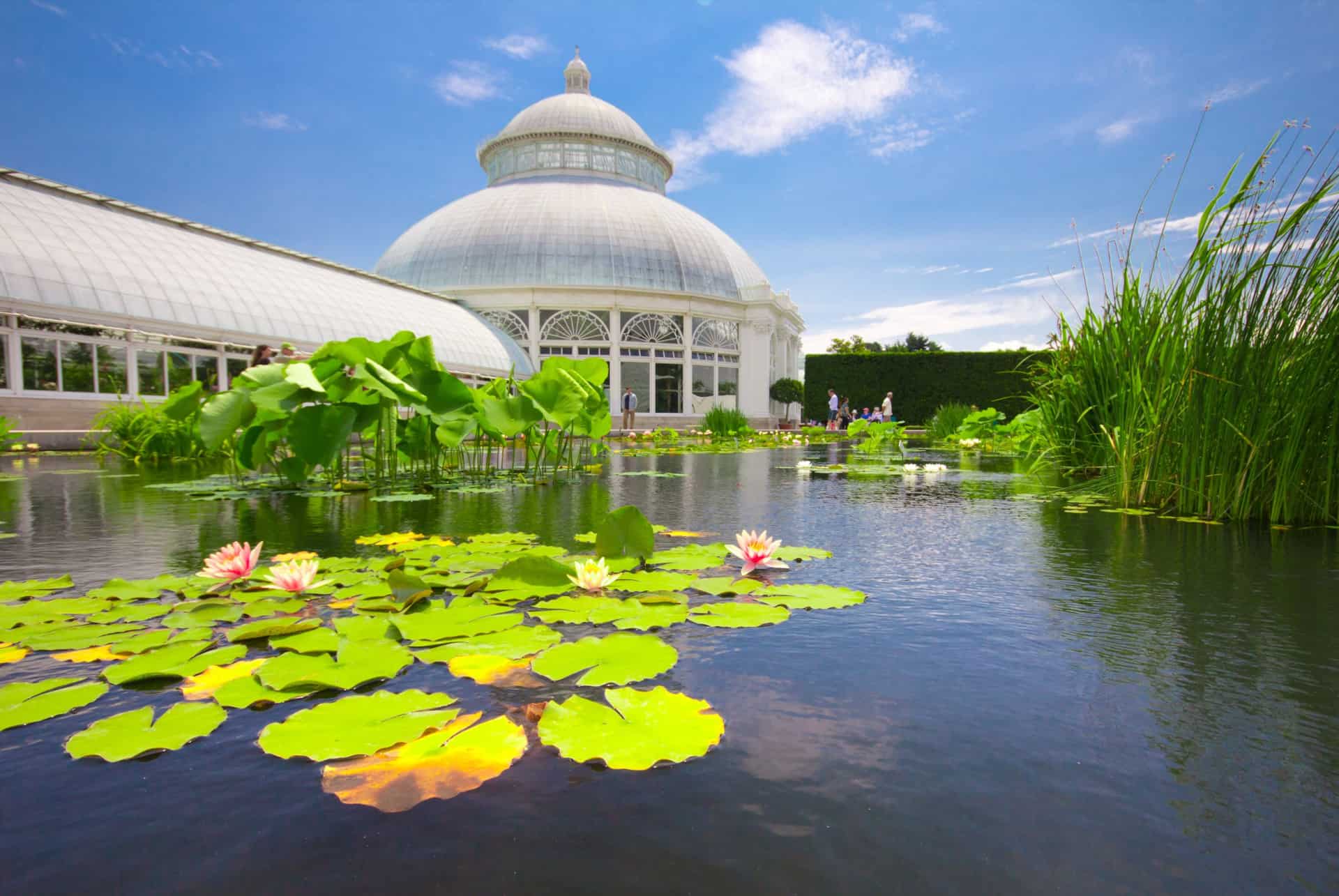 Le Jardin botanique de New York