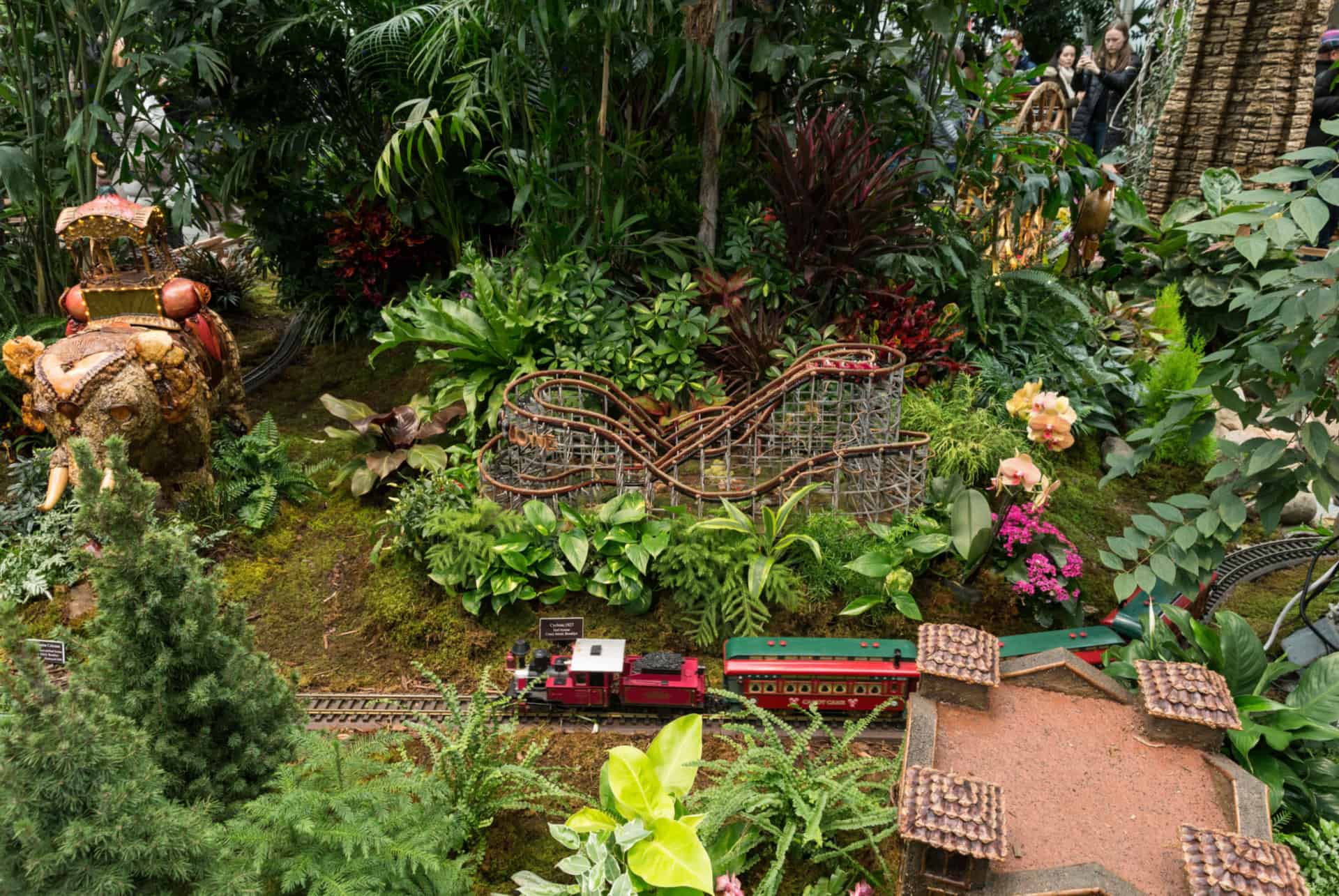 jardin botanique train show and glow