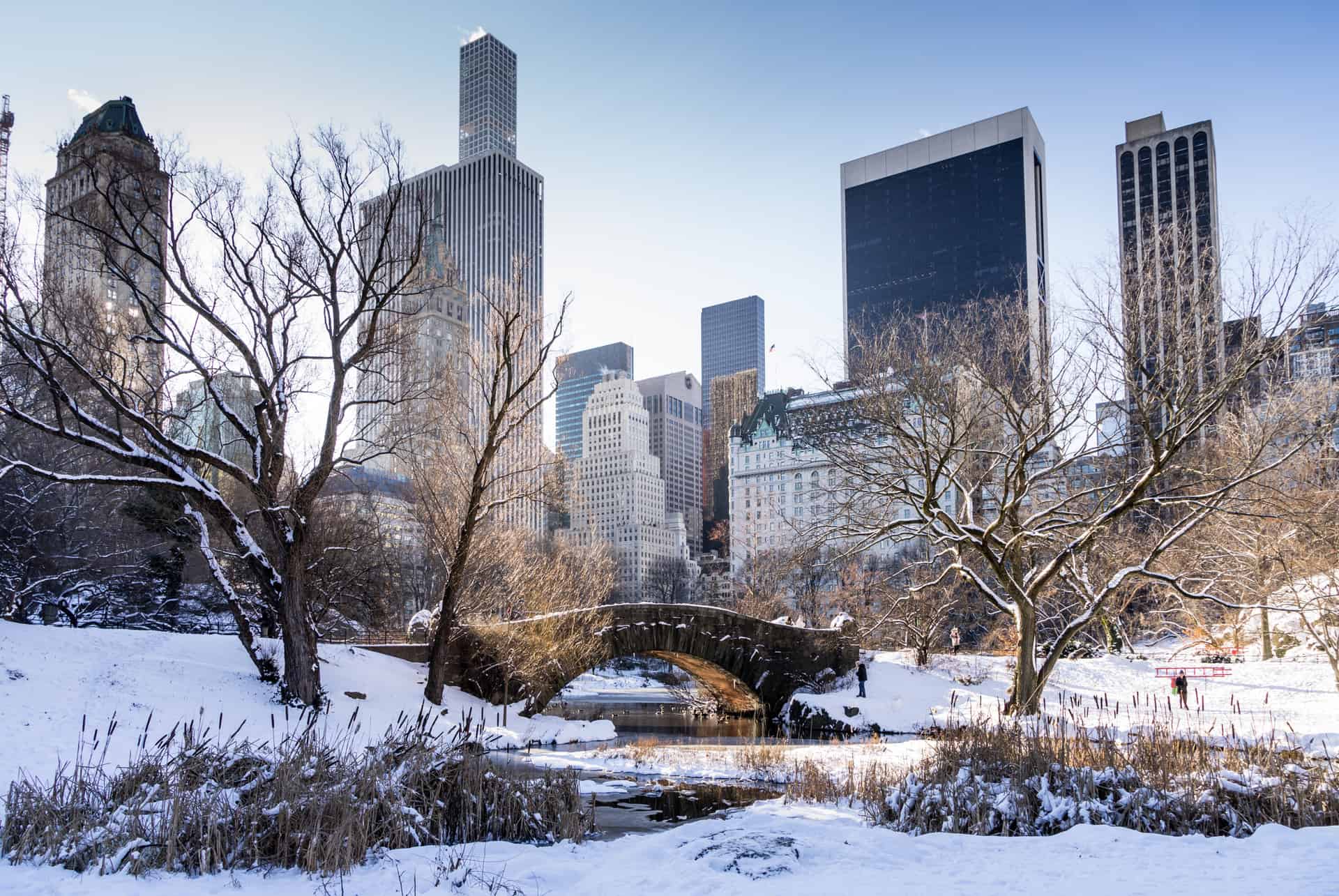 new york en janvier