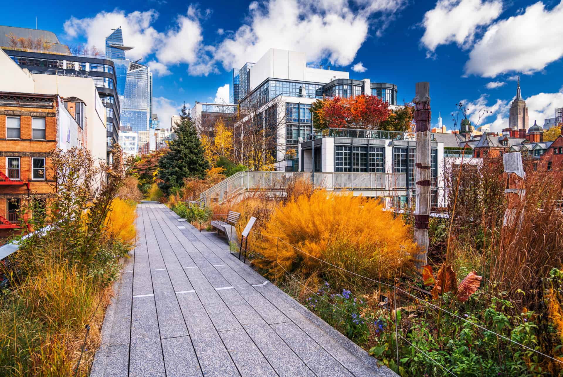 high line en automne high line en automne