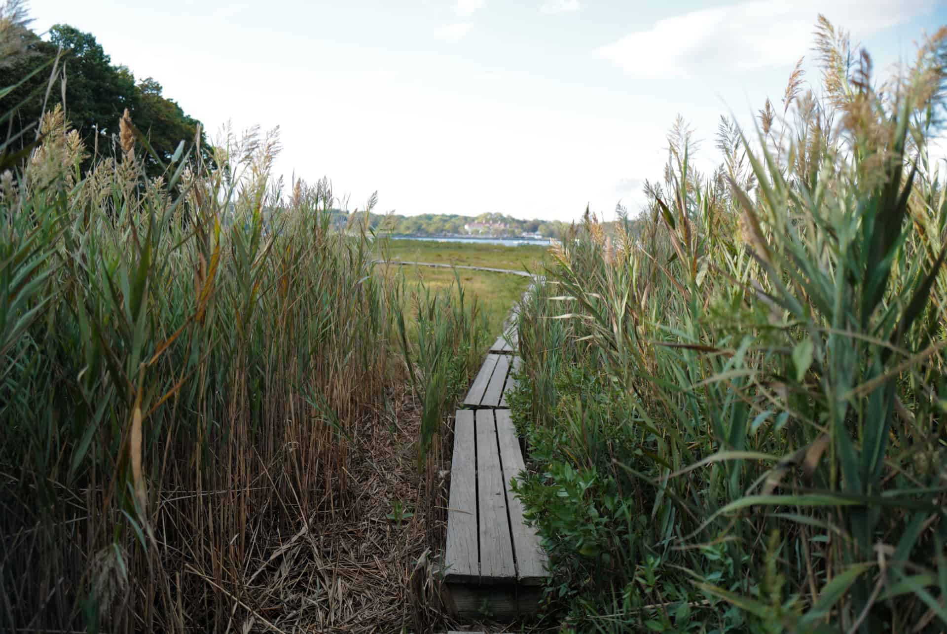 Pelham Bay Park