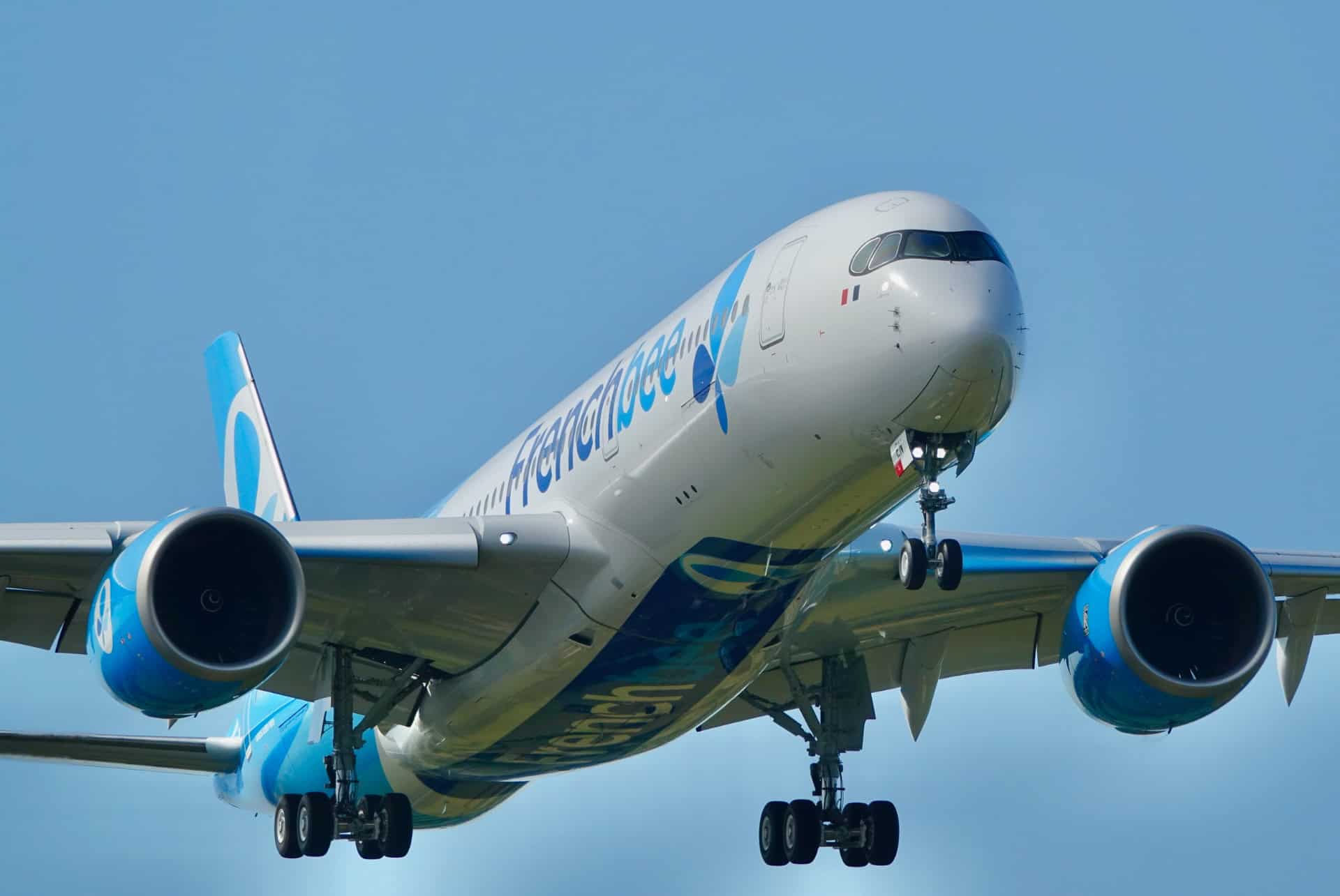 avion french bee avis avion french bee avis