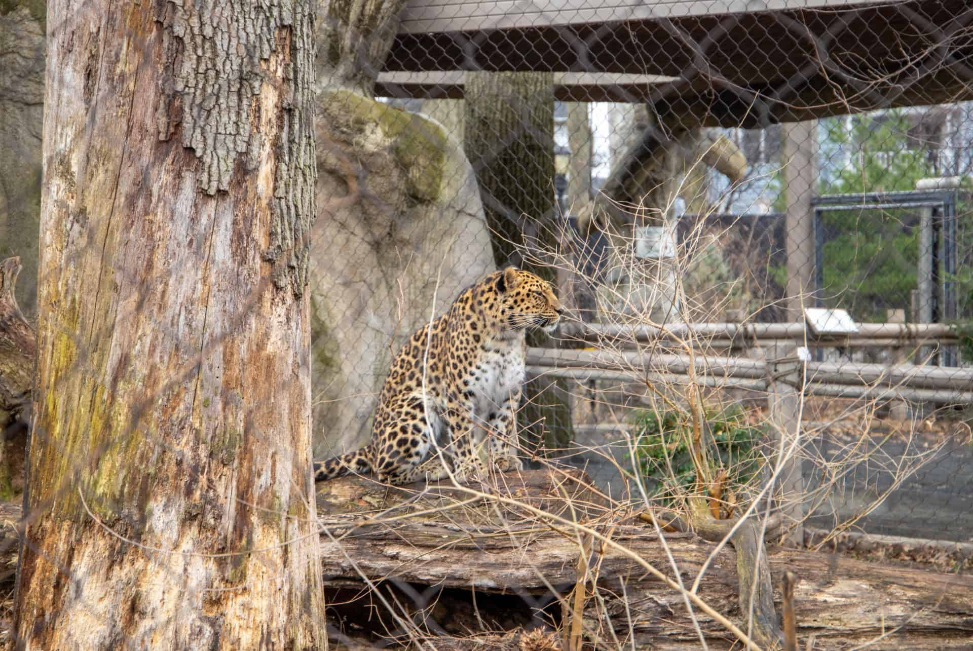 Zoo de Staten Island