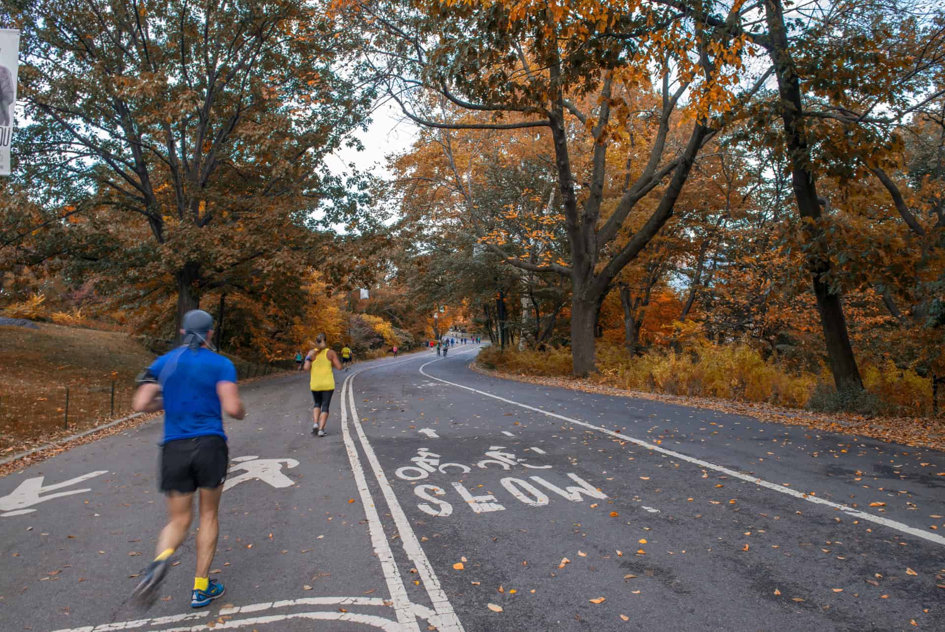 ou courir new york central park