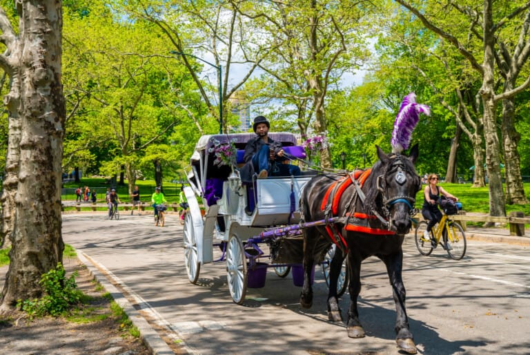 Tour en calèche à Central Park