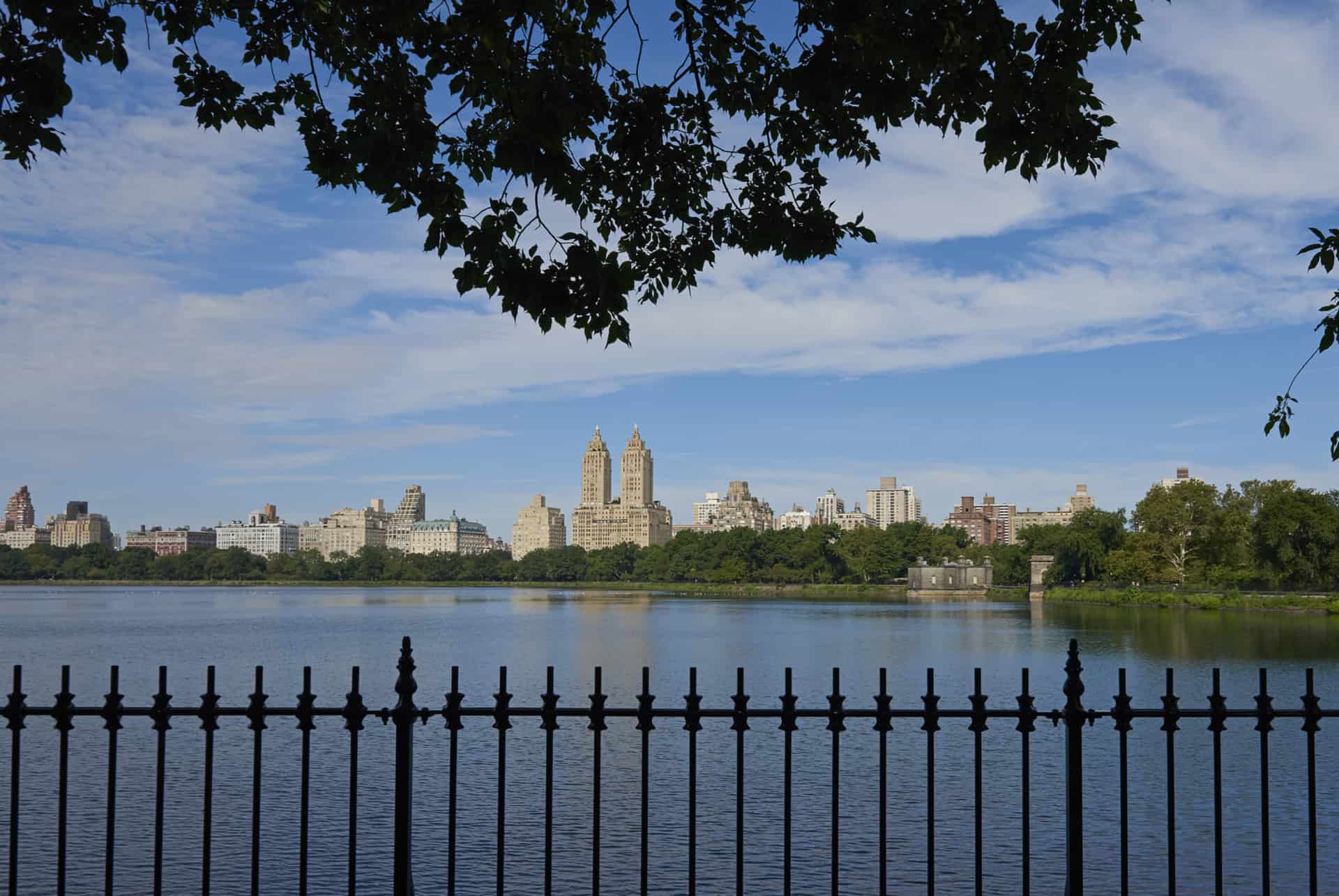 new york central park