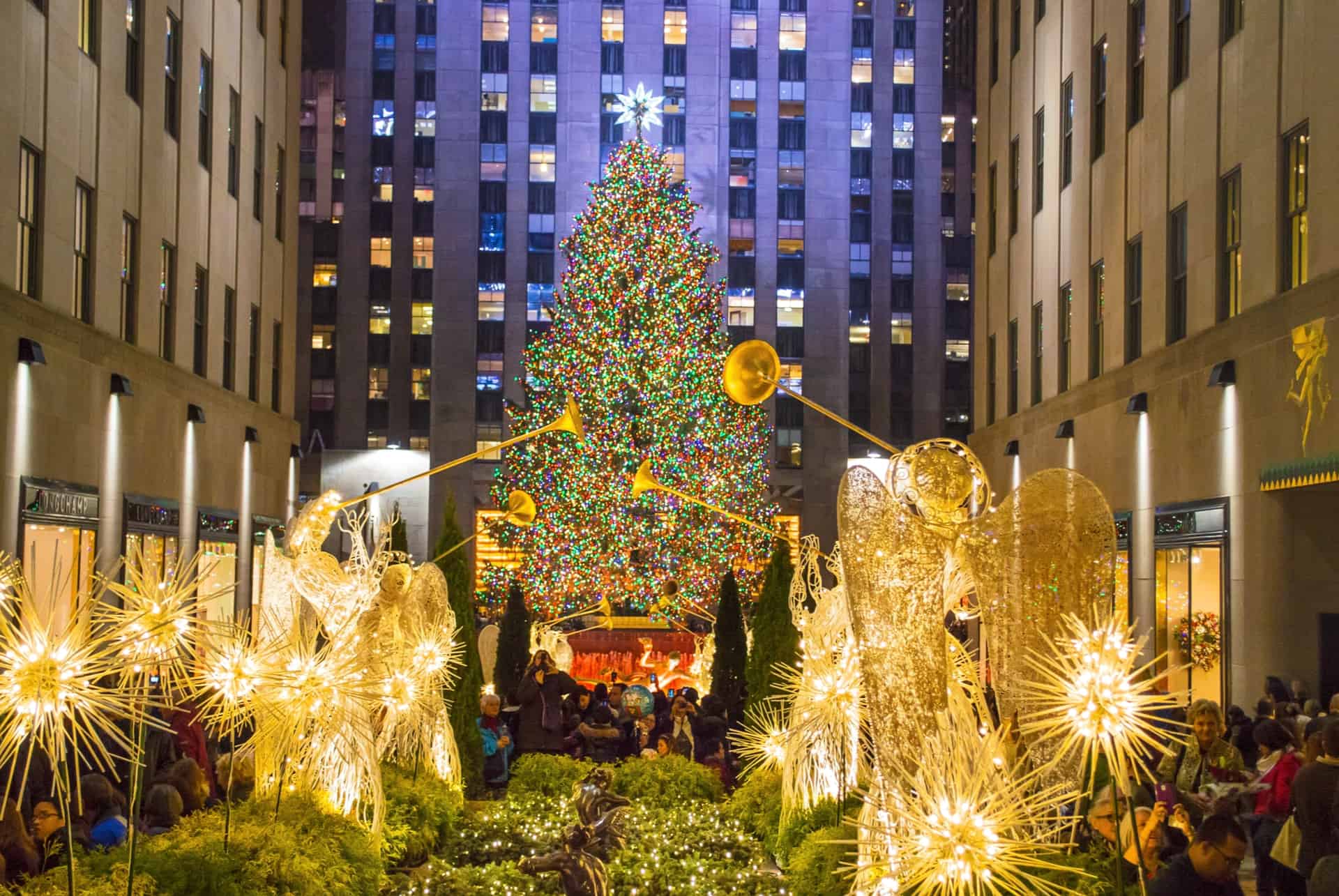sapin rockefeller center