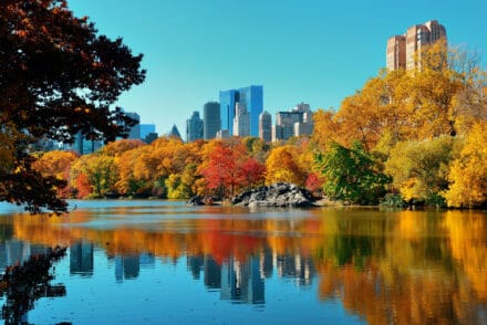 New York en automne