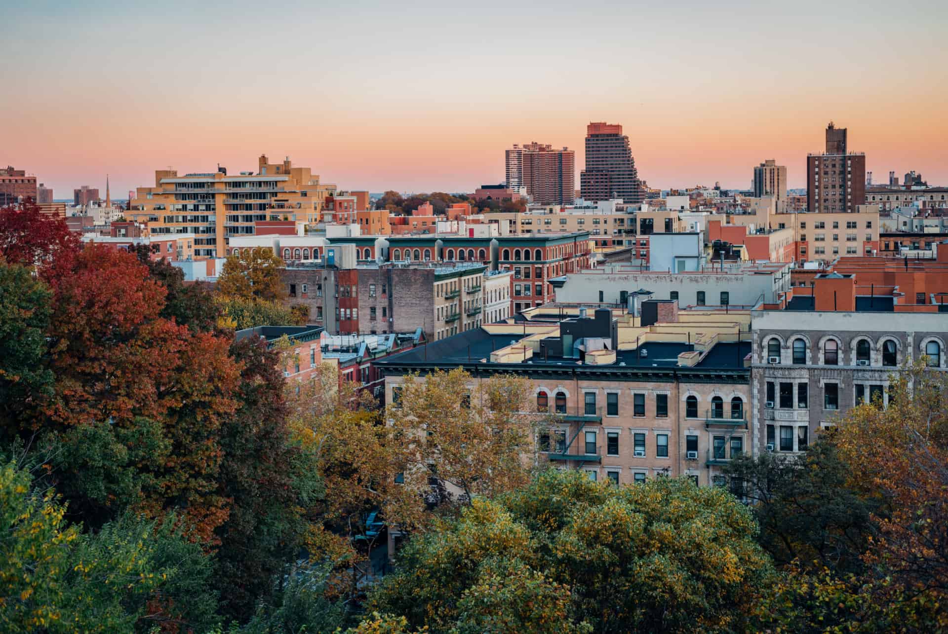 visite quartier harlem