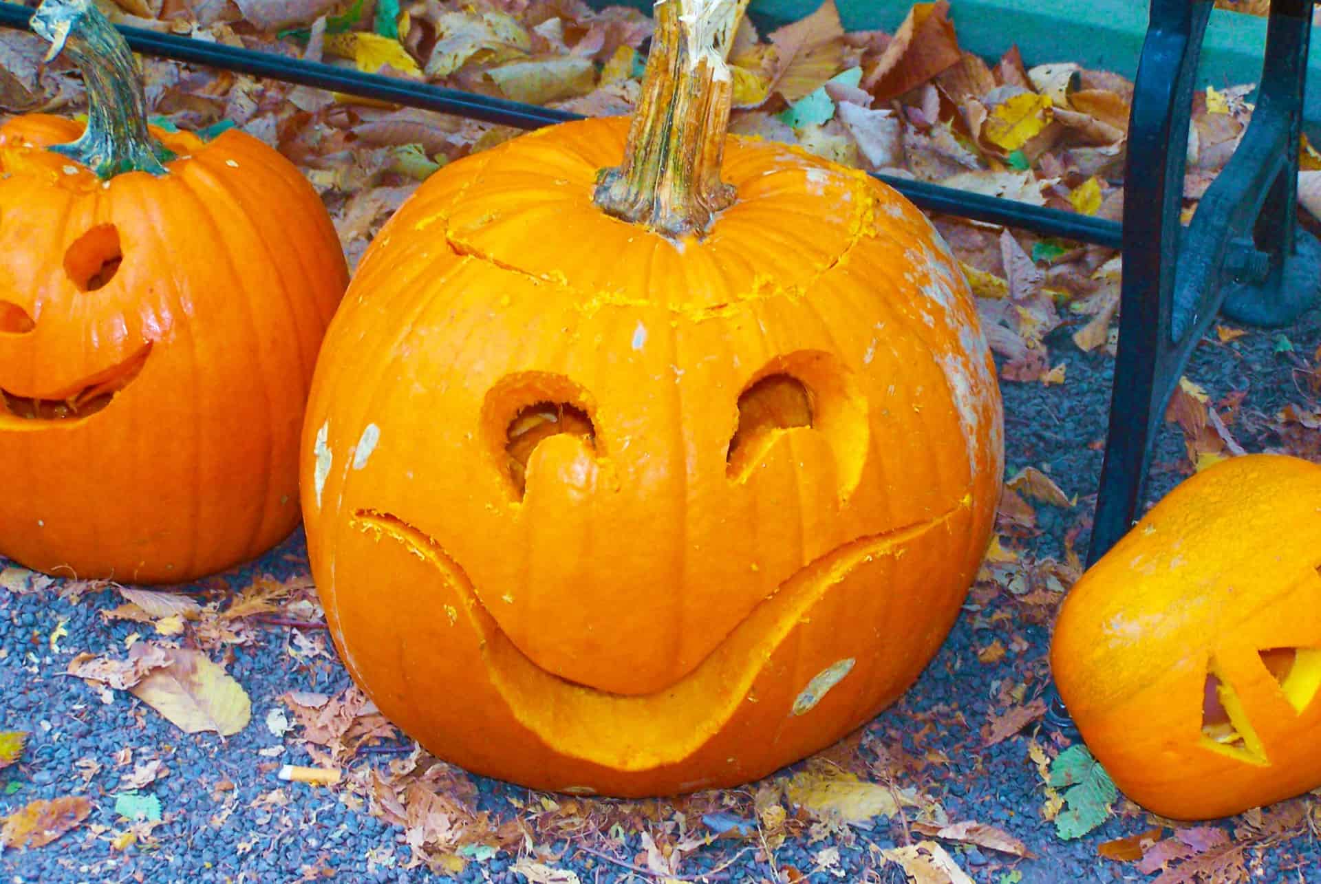 concours citrouilles new york halloween