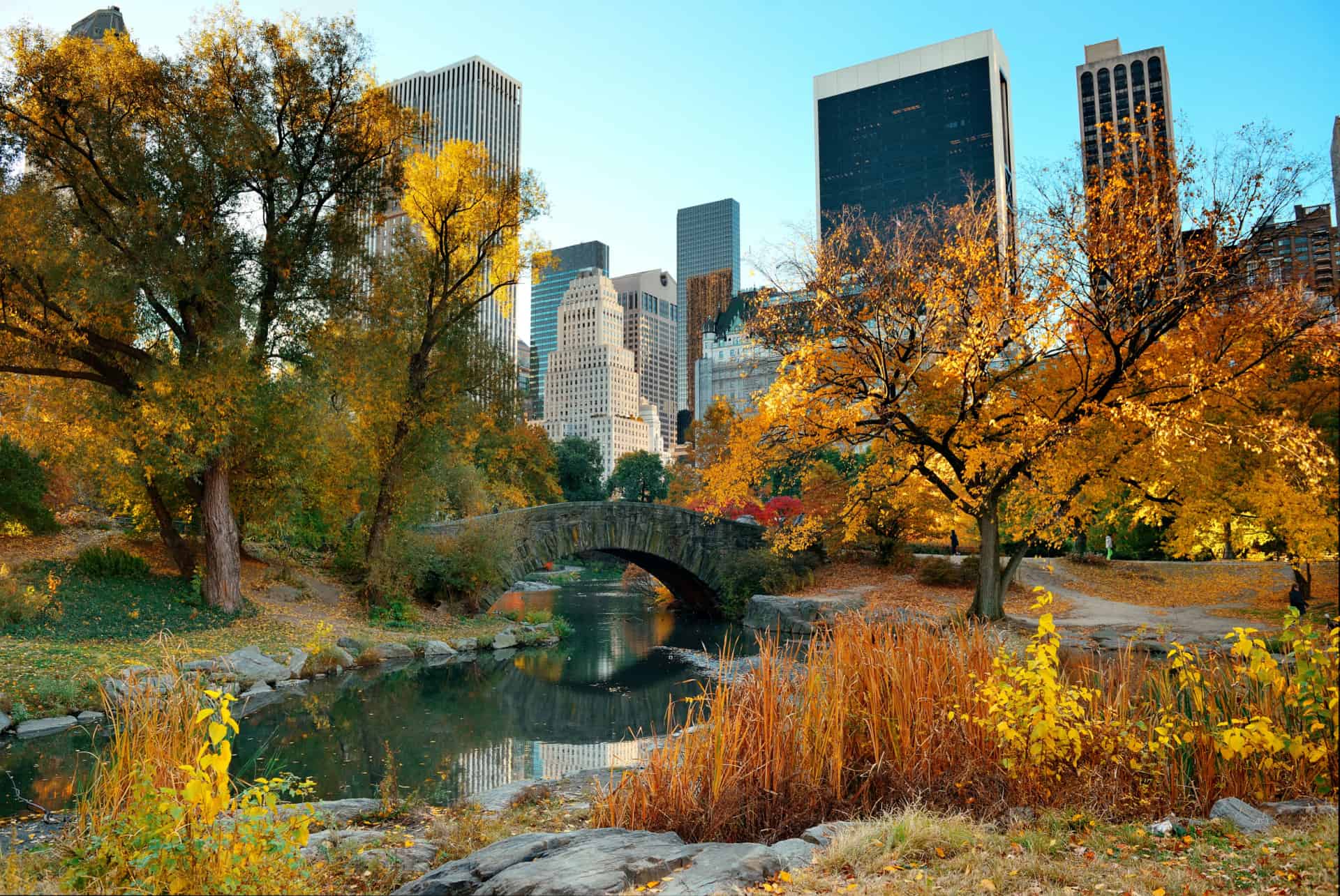 central park en automne