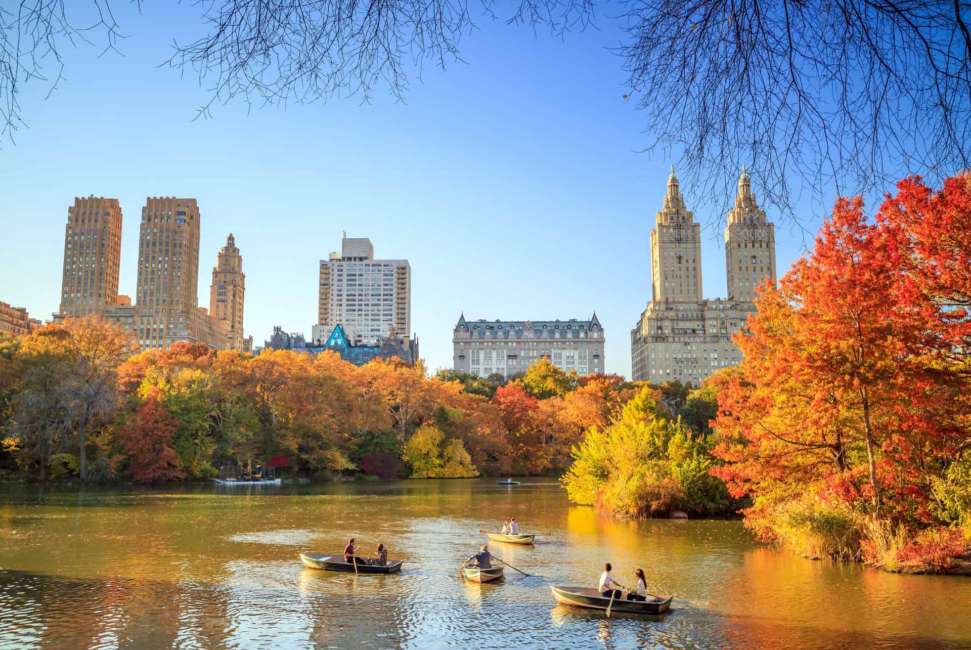 central park en automne
