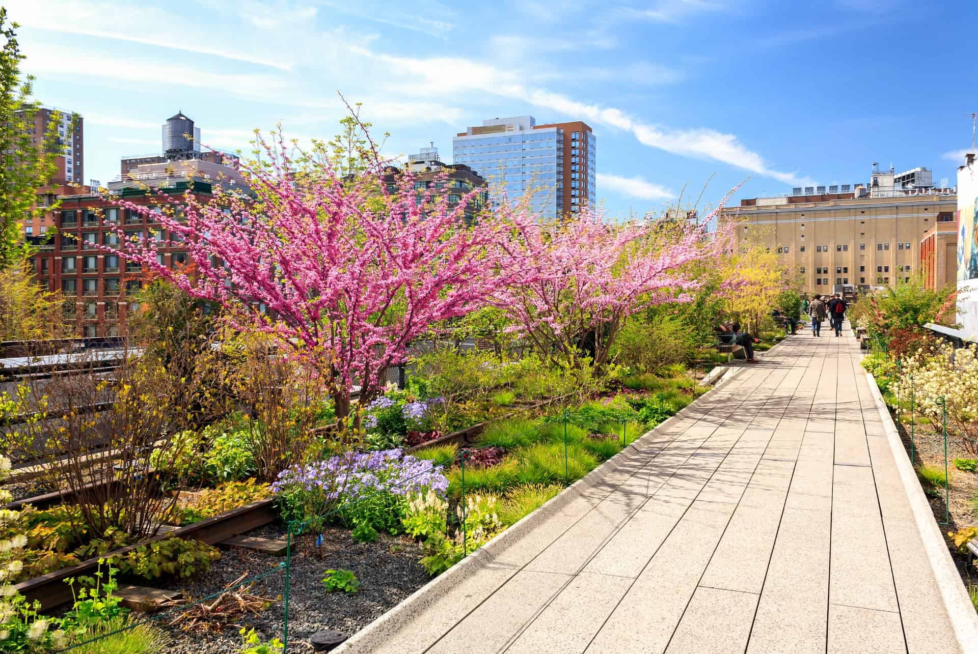 high line central park
