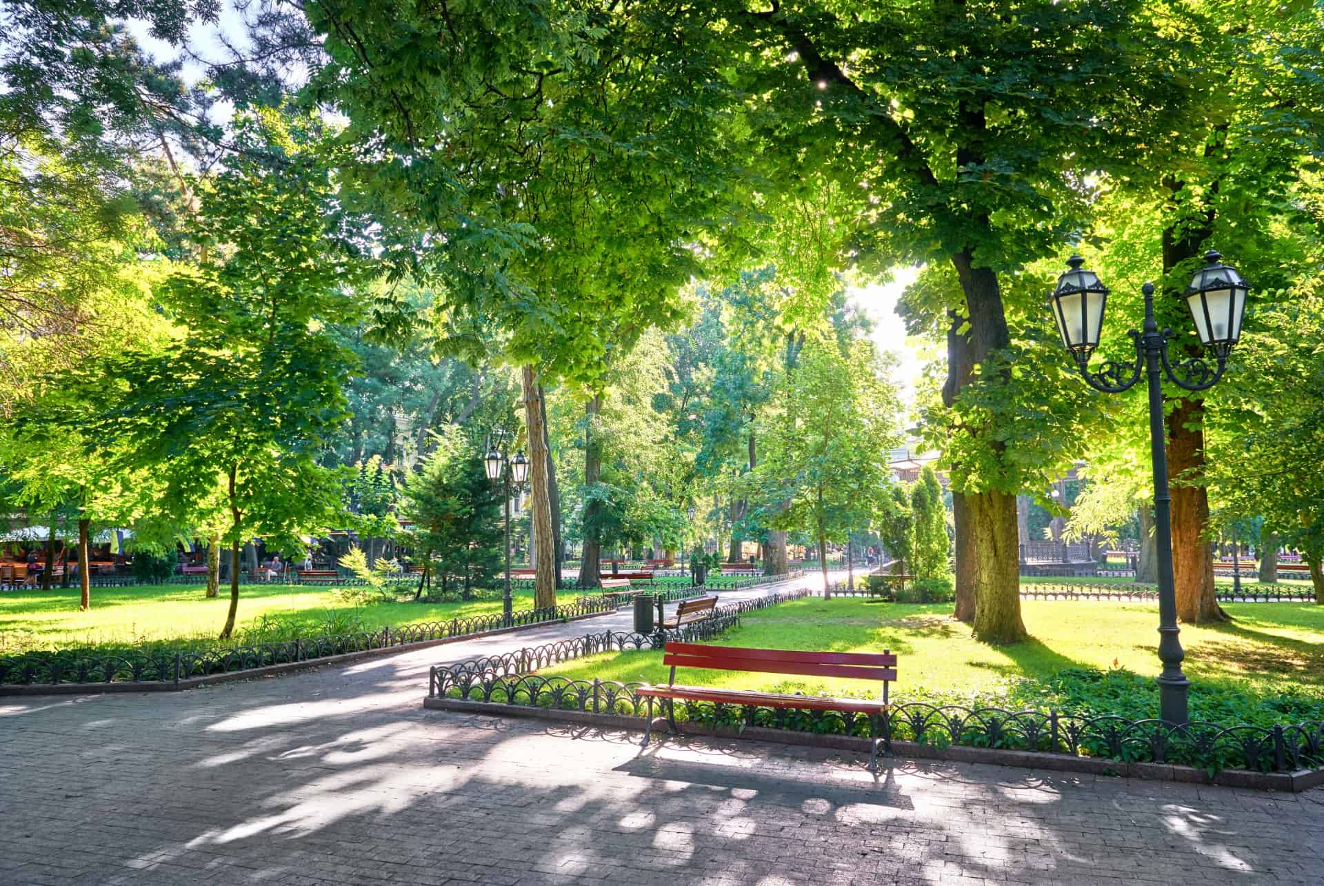 matin central park