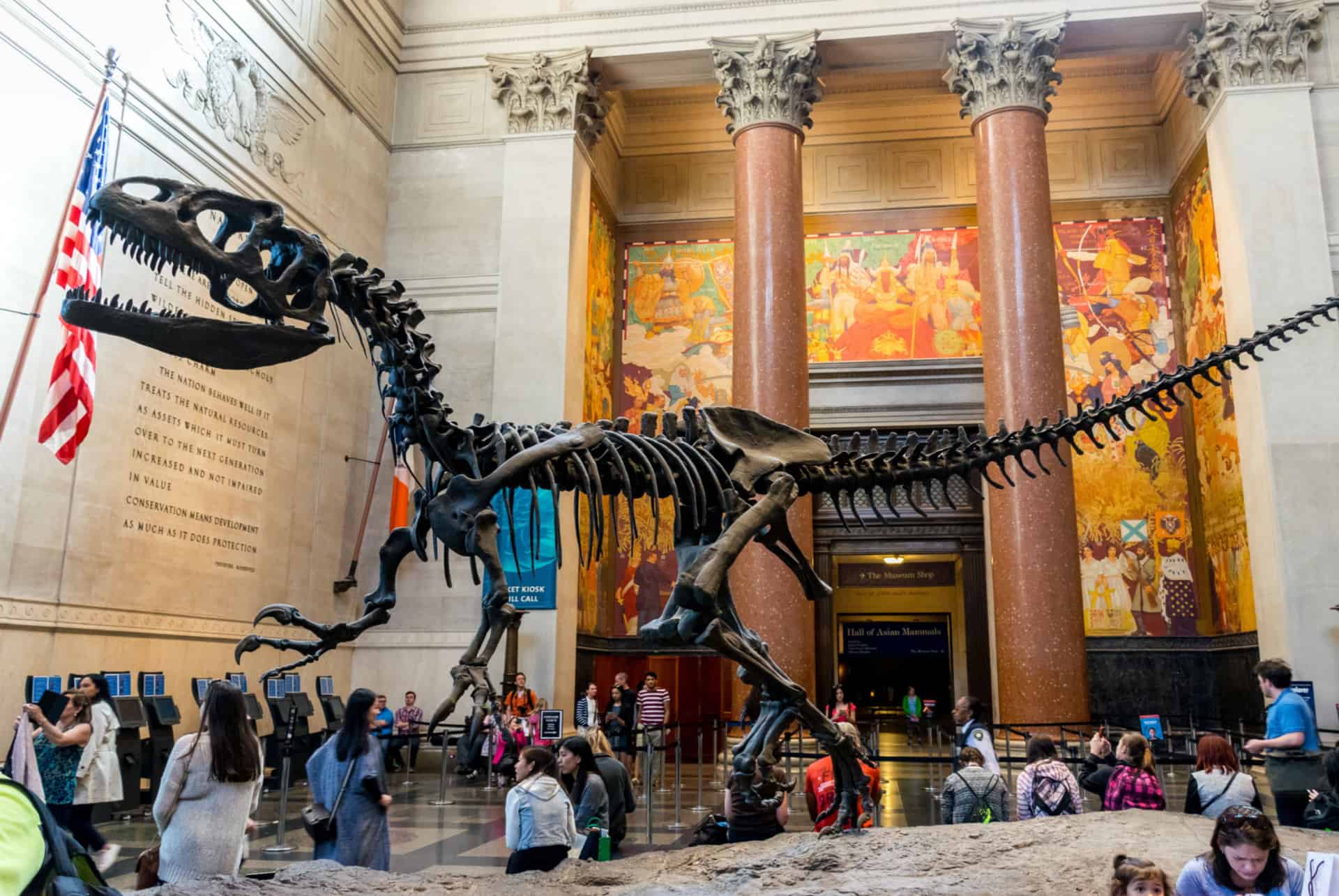 musee histoire naturelle new york