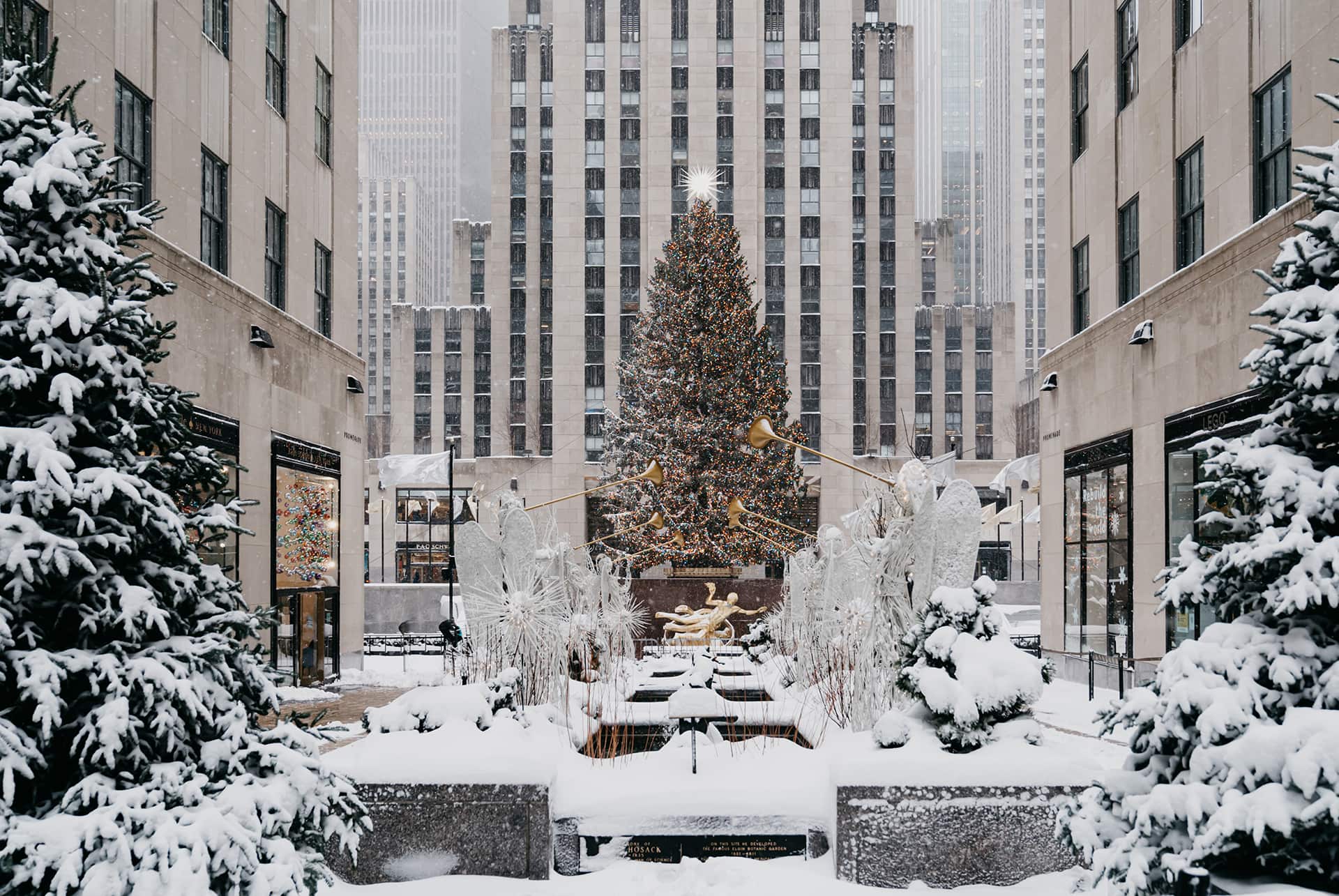new york en decembre