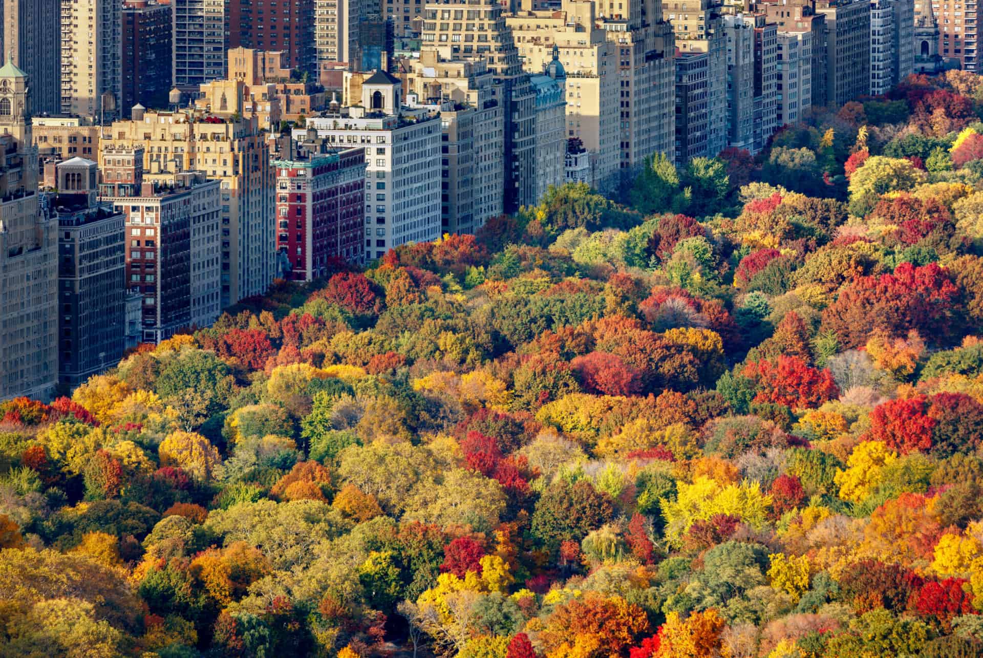que faire new york automne