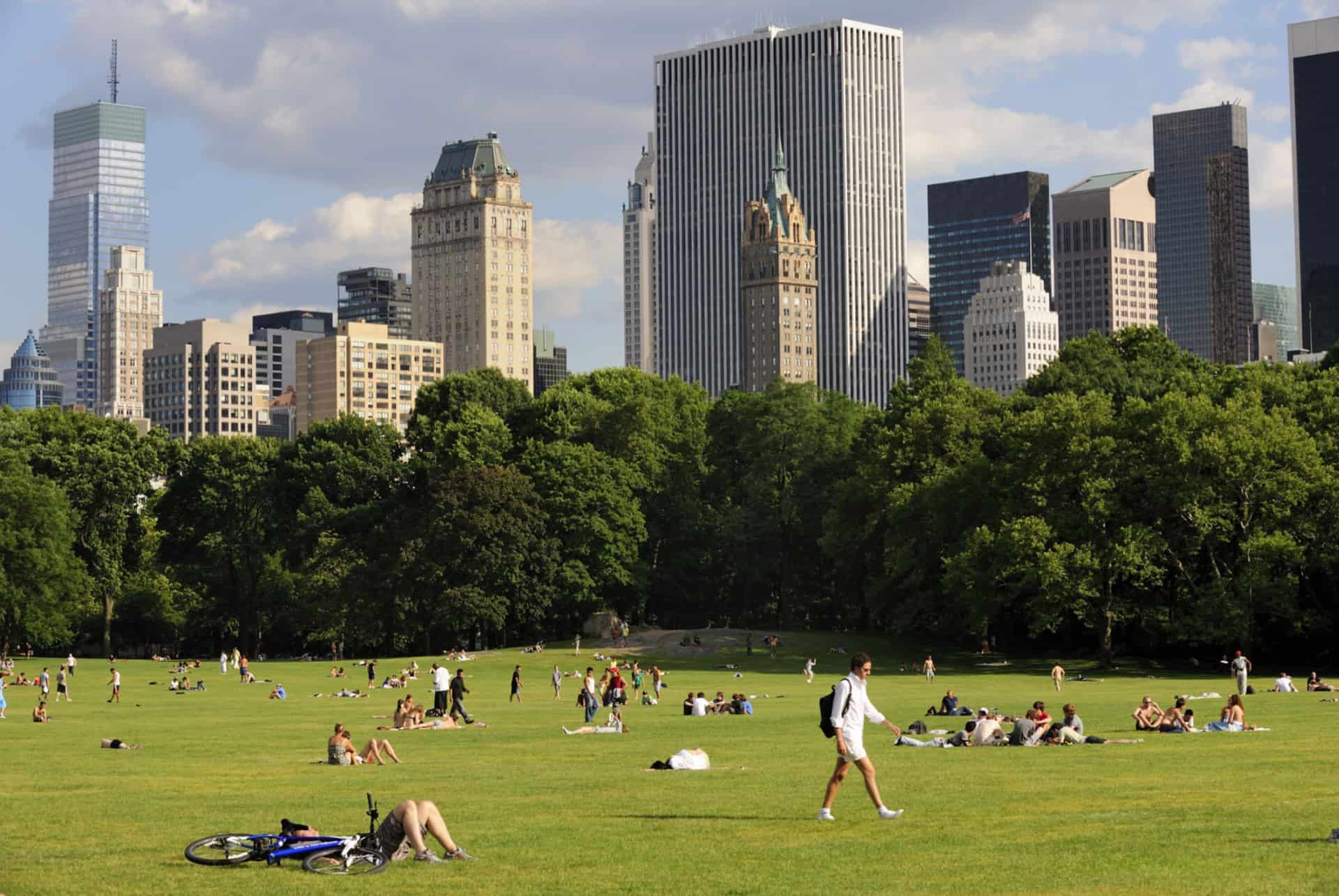 the great lawn central park