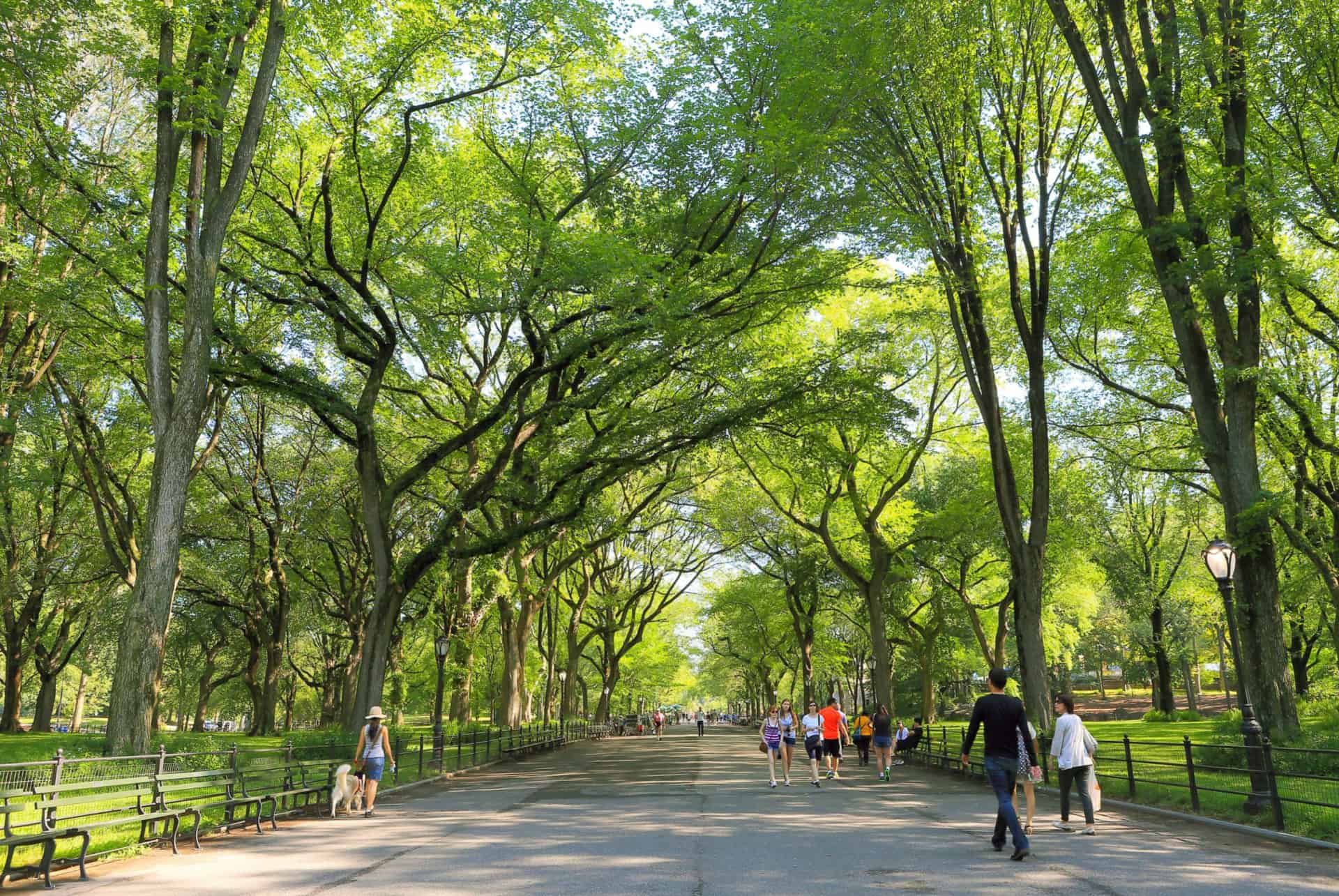 the mall central park