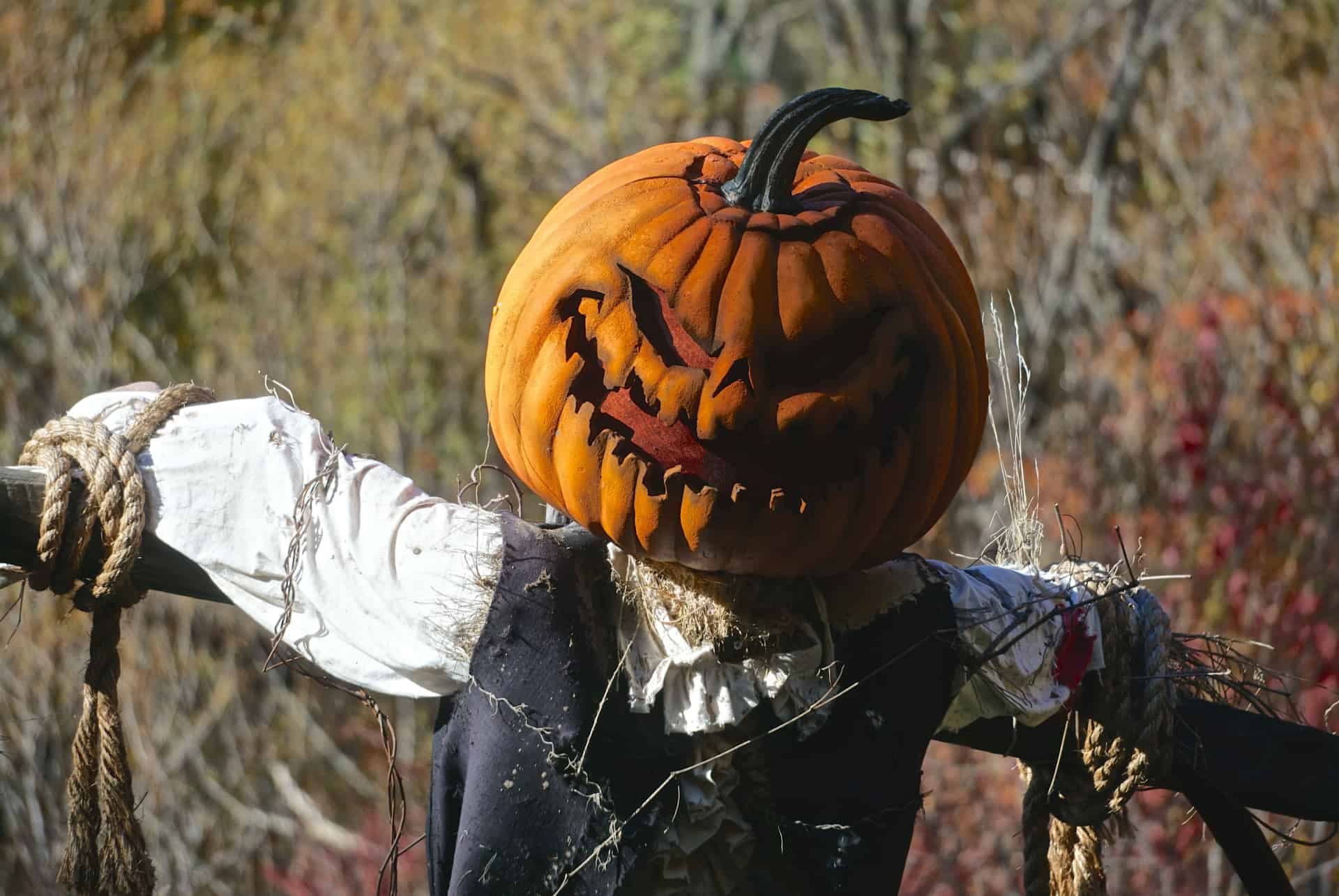 botanical garden Halloween