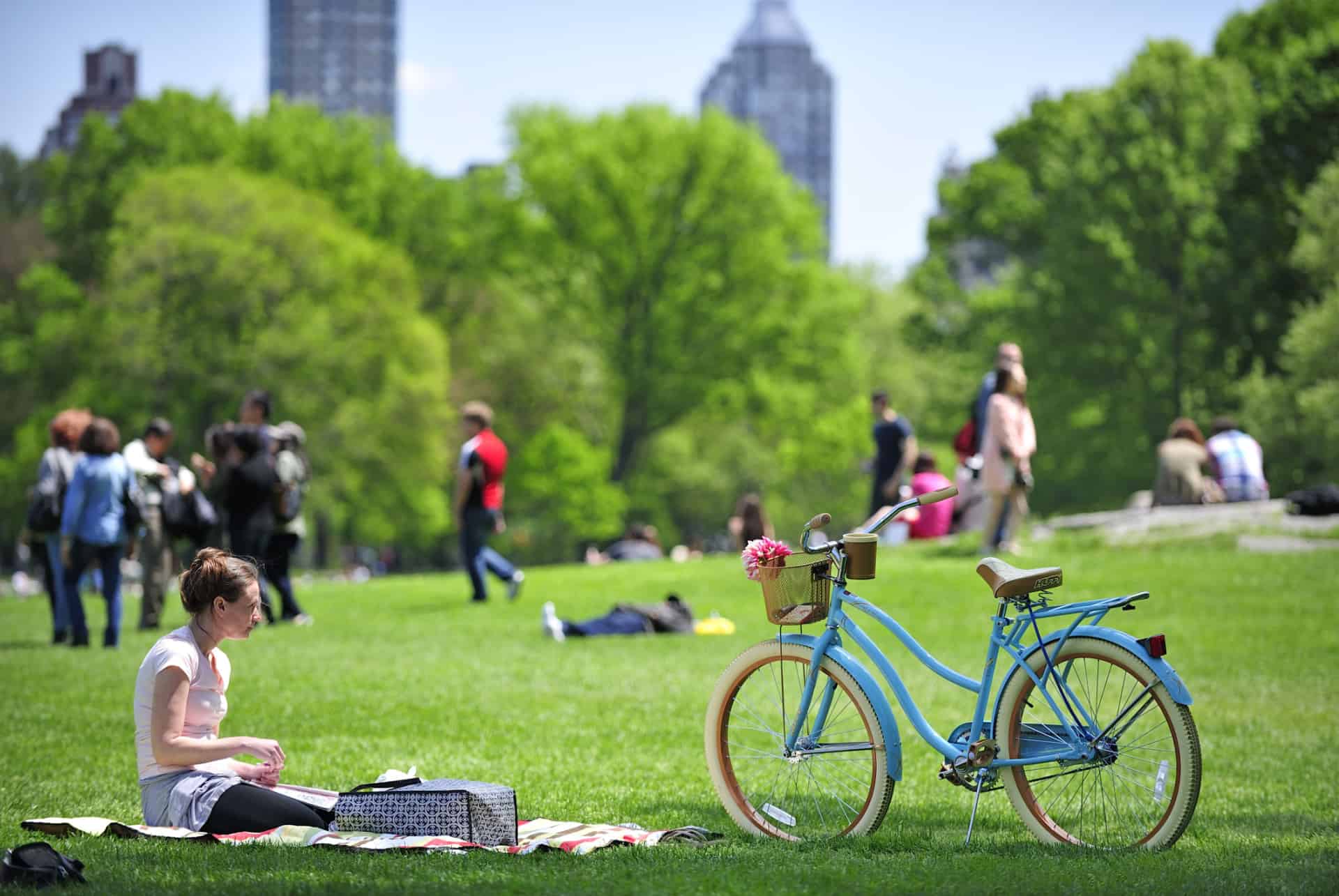 central park velo