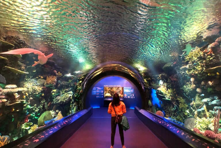 Billet d'entrée à l'Aquarium de New York
