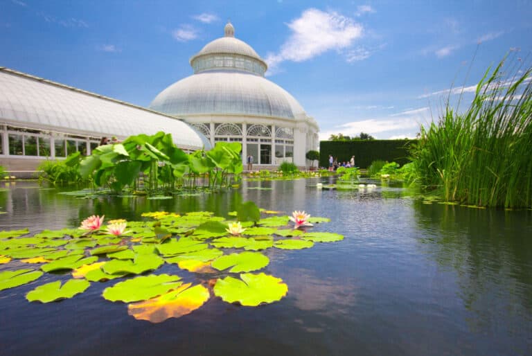 Billet pour le jardin botanique de New York