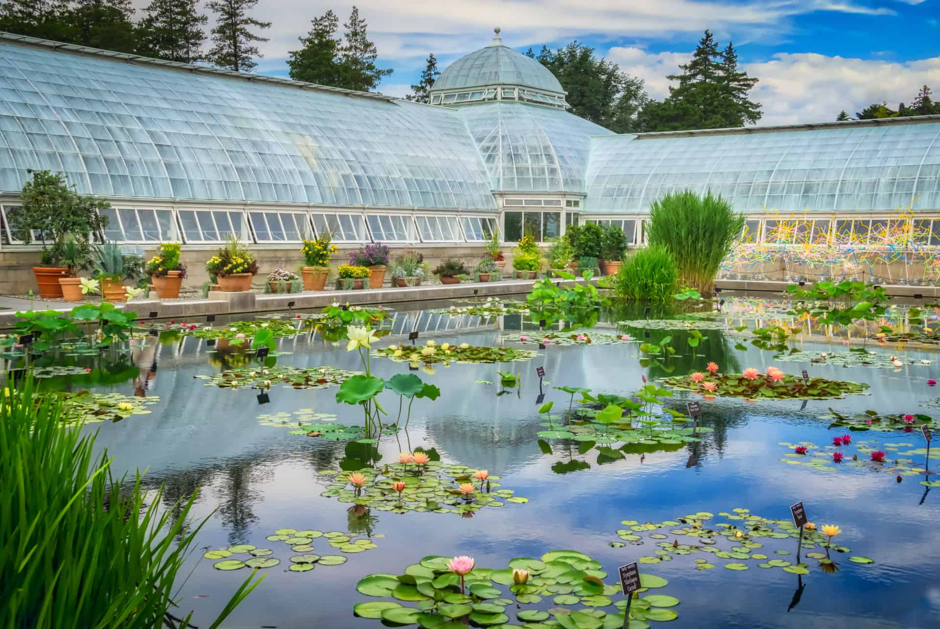 jardin botanique new york en ete