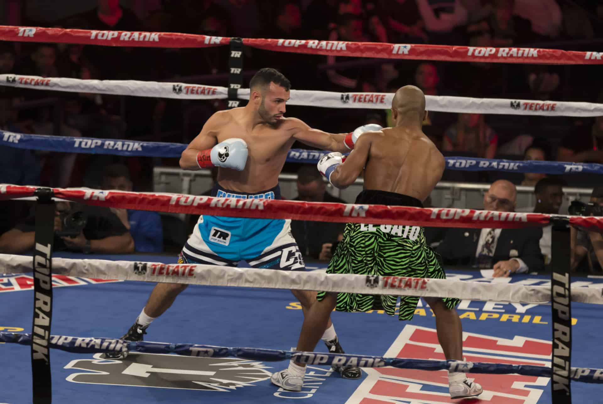 boxe msg