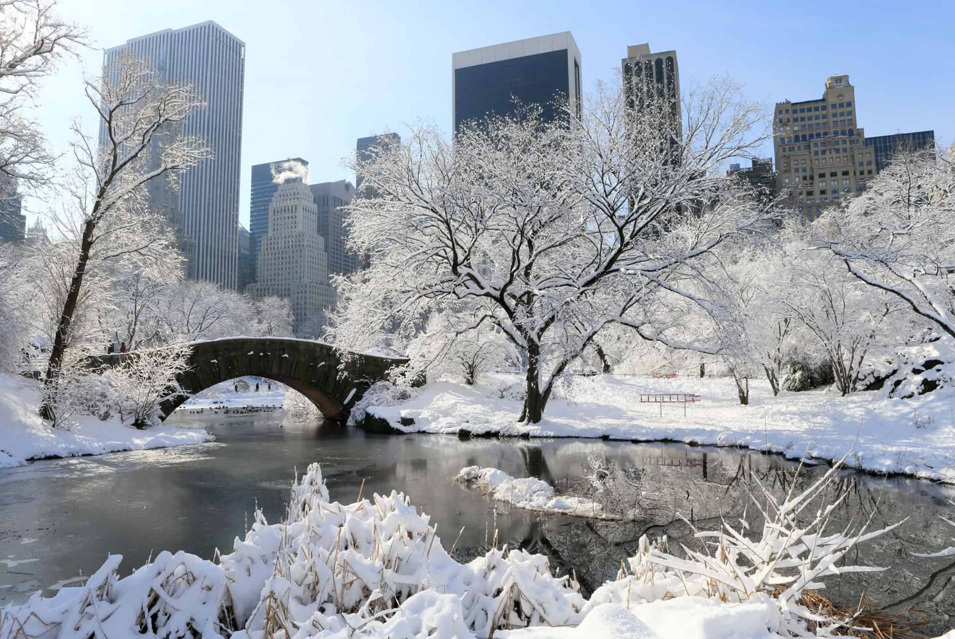 central park en hiver