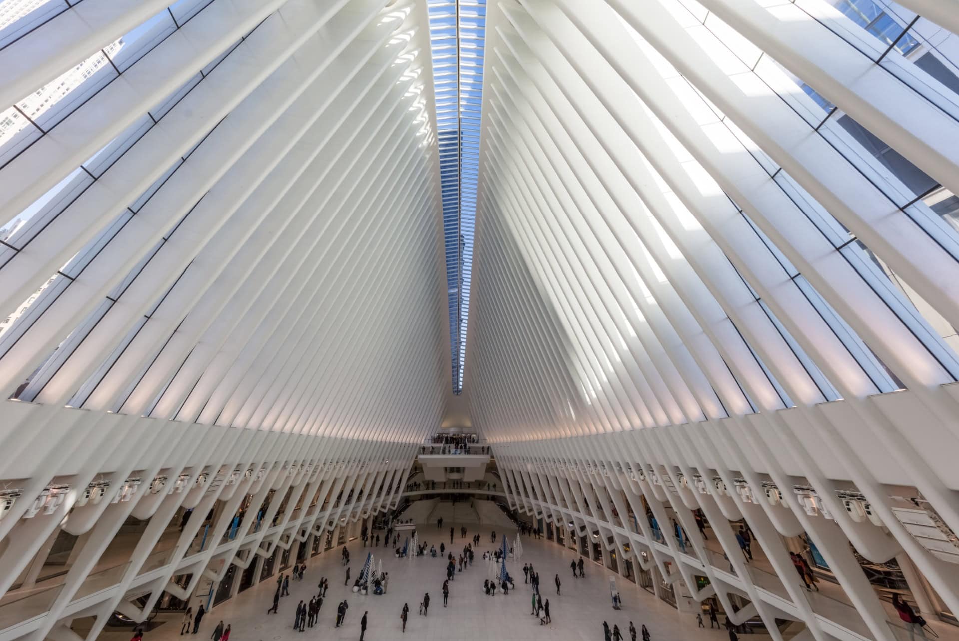 occulus center