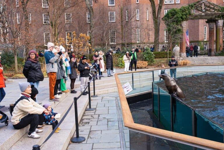 Billet pour le zoo de Central Park
