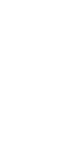 statue de la liberte