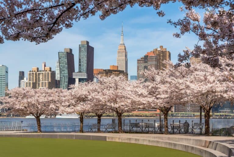 NBA New York