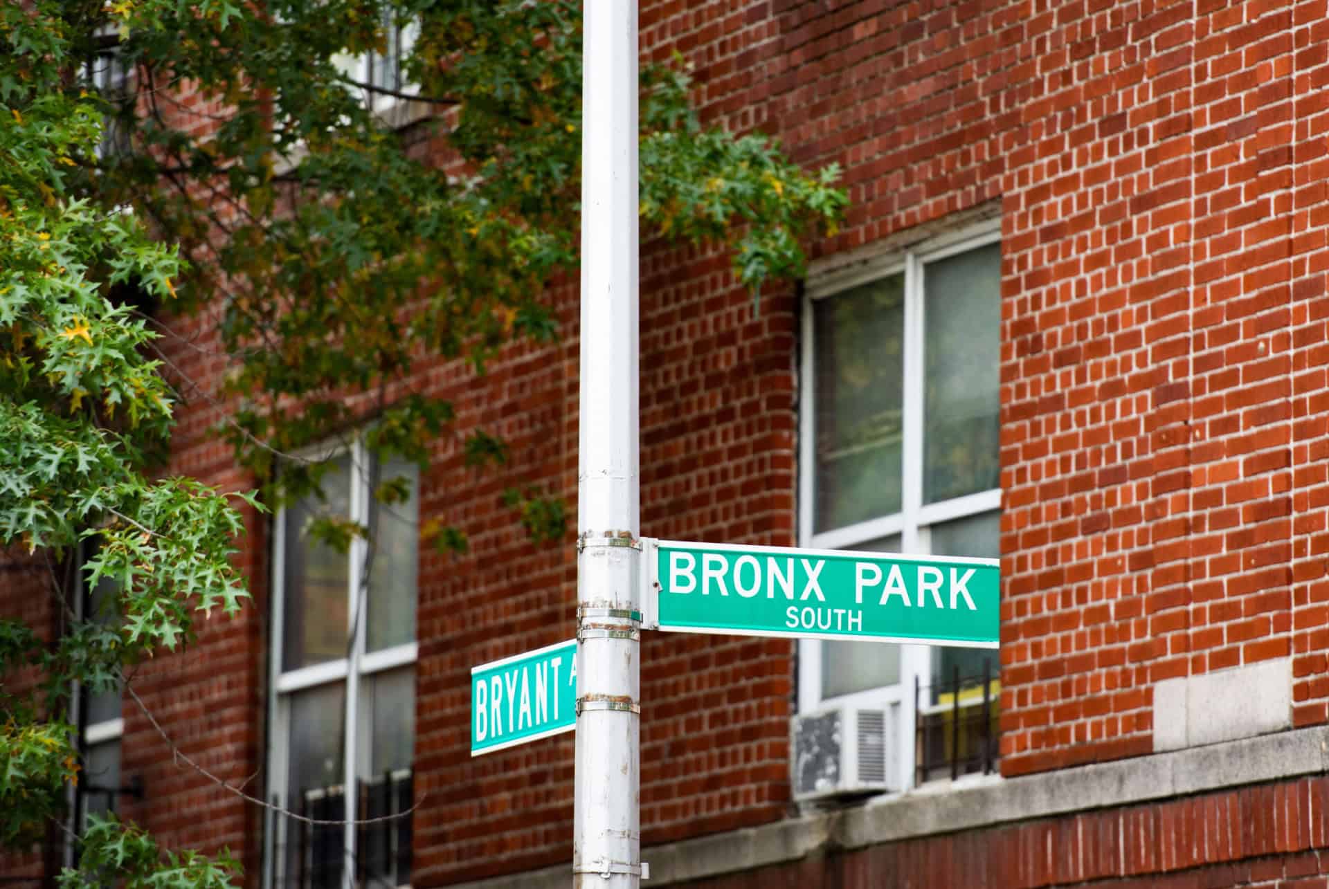 rue south bronx