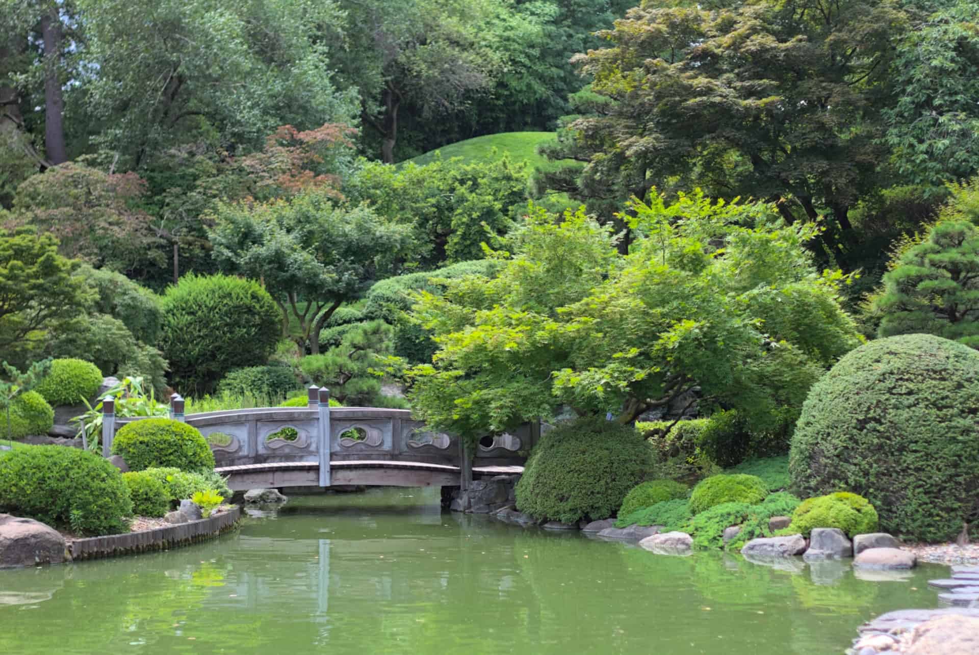 japanese pond and hill garden jardin botanique brooklyn