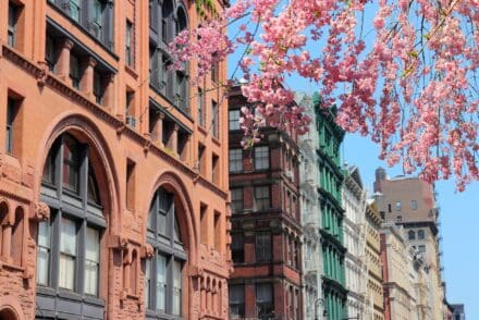 New York au printemps