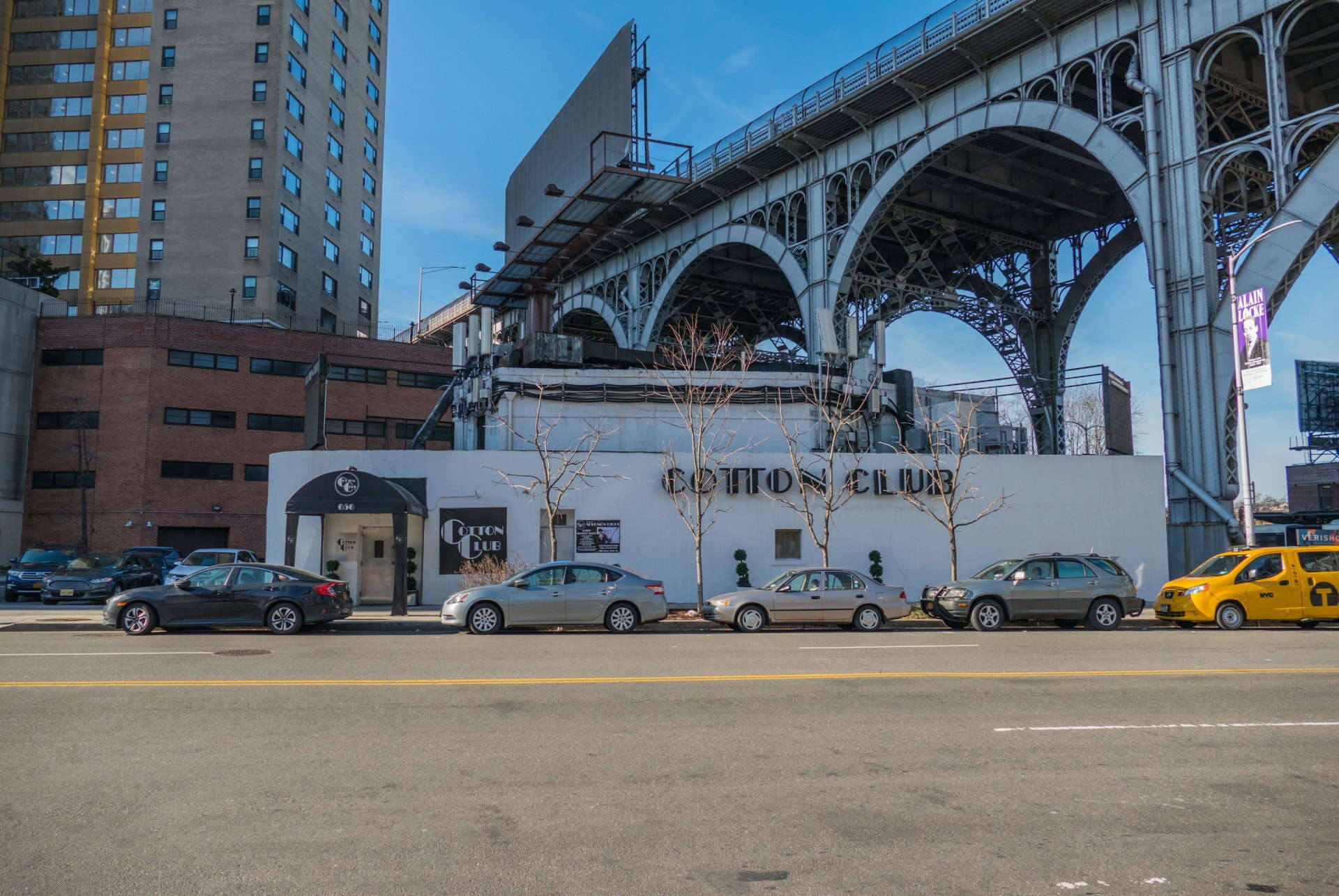 cotton club cotton club