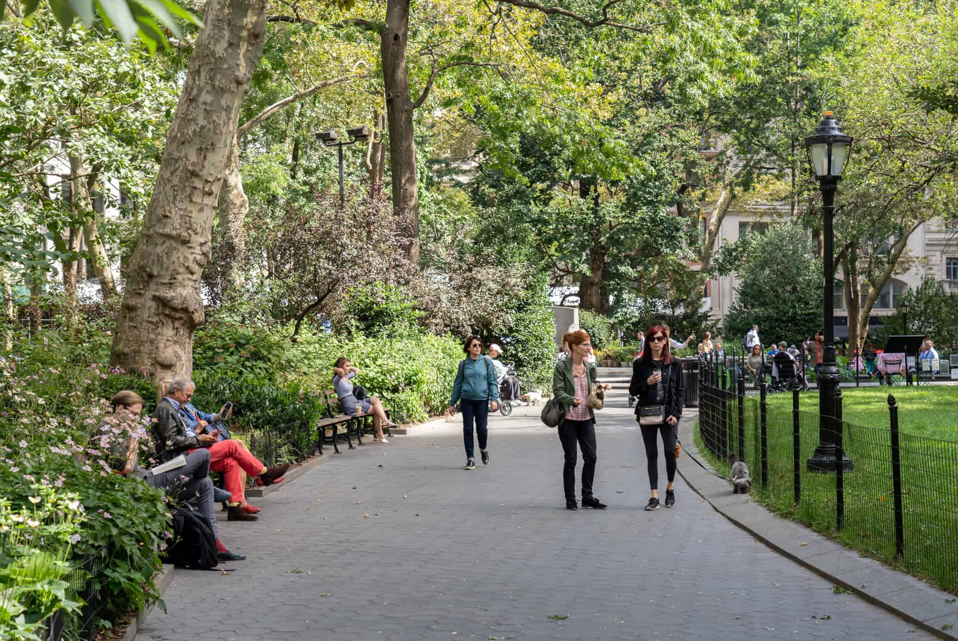 allee madison square park allee madison square park